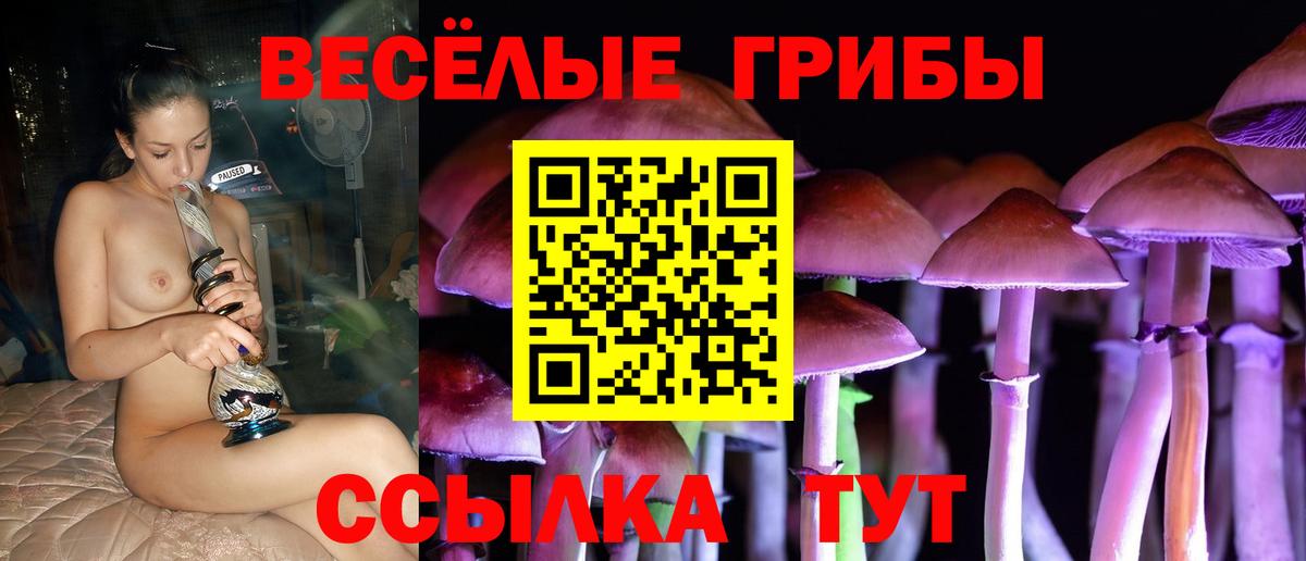 Псилоцибиновые грибы ЛСД  Галлюциногенные грибы мицелий  Вход с VPN  Советский 